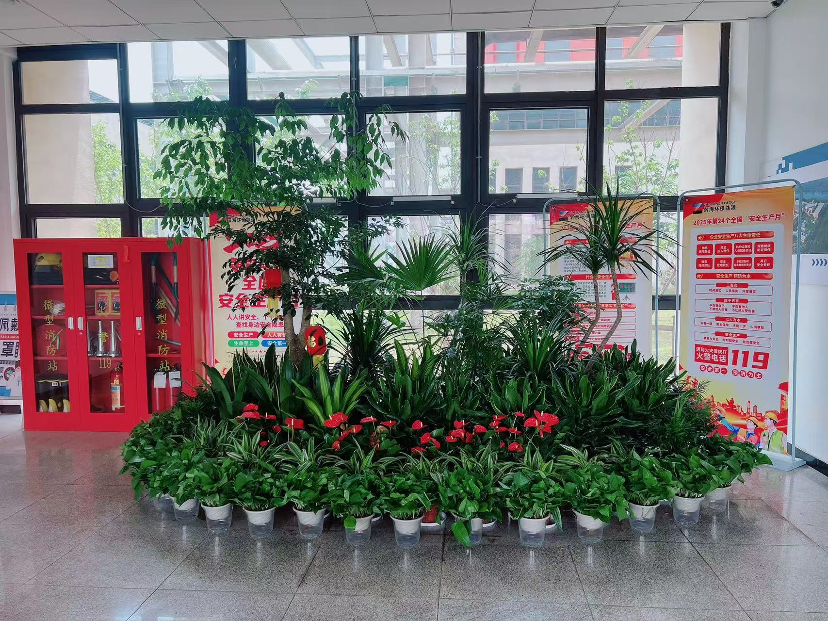 宁波海曙专业盆景出租，装点别样空间